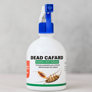 Dead Cafard – Éliminez Définitivement les Cafards de Votre Maison