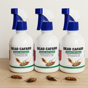 Dead Cafard – Éliminez Définitivement les Cafards de Votre Maison