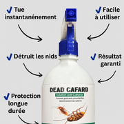 Dead Cafard – Éliminez Définitivement les Cafards de Votre Maison