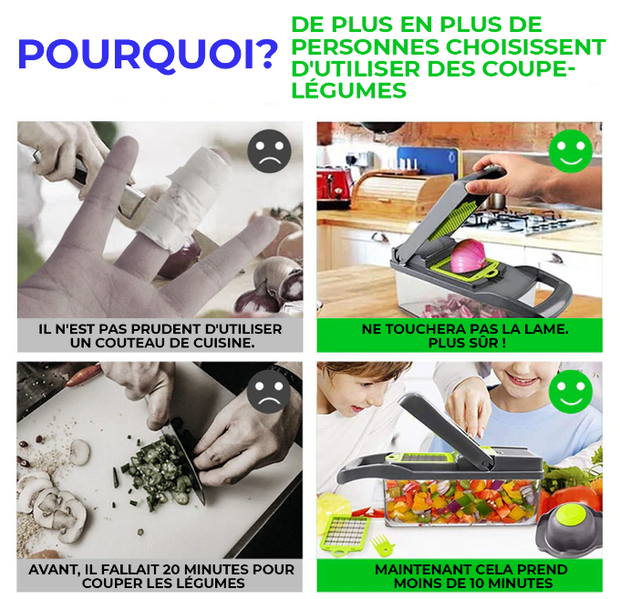 Hachoir à légumes professionnel